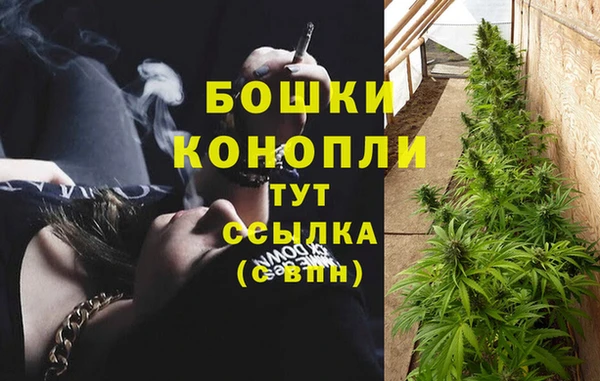 метадон Ладушкин