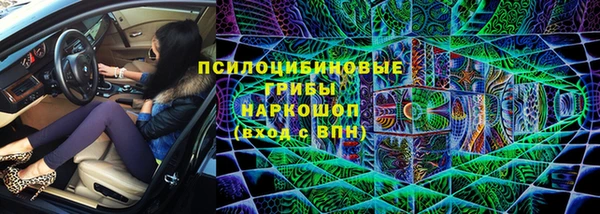 ешки Корсаков