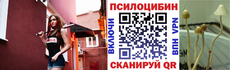 Галлюциногенные грибы Magic Shrooms Кудымкар