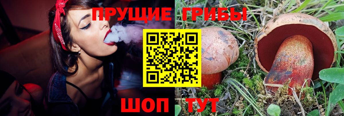 Галлюциногенные грибы мицелий Кудымкар