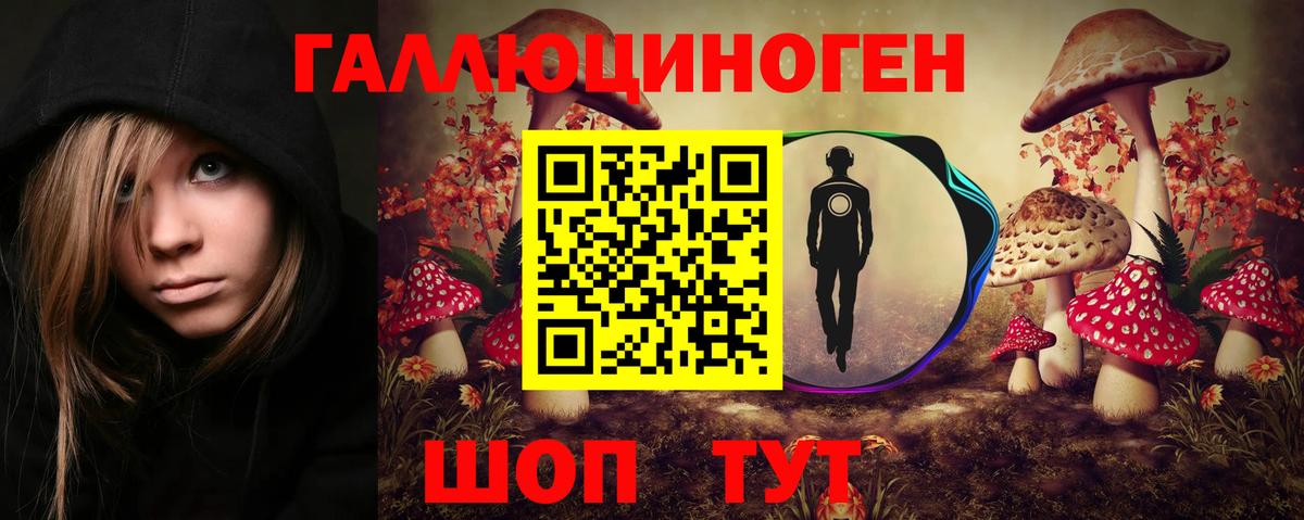 Кудымкар  Псилоцибиновые грибы Cubensis  Вход с VPN 